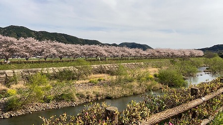 aritadayori0404 (3).jpg